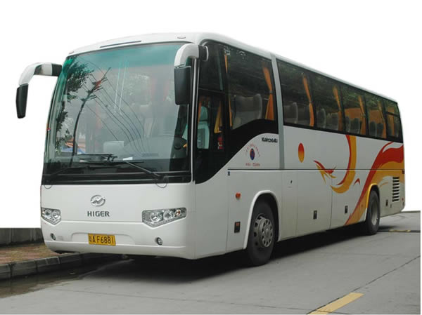 53座金龍大巴.jpg